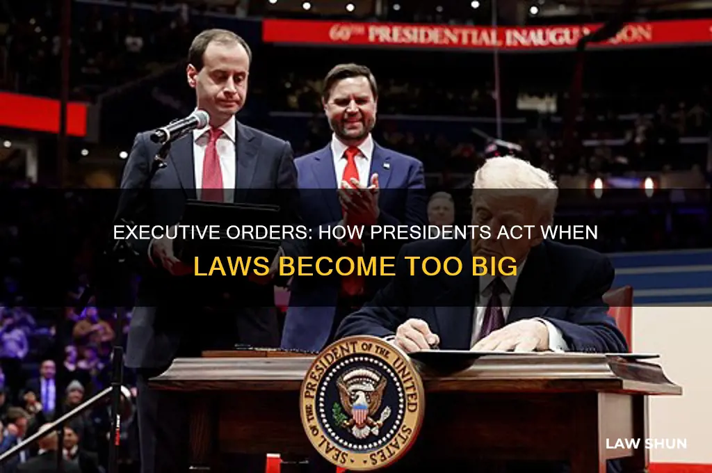 what does the president issue when laws are too big