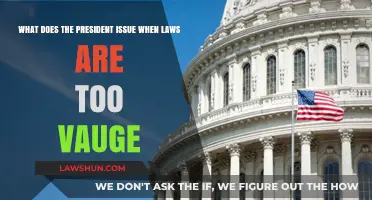 Clarifying Ambiguity: How Presidents Address Vague Laws with Executive Orders