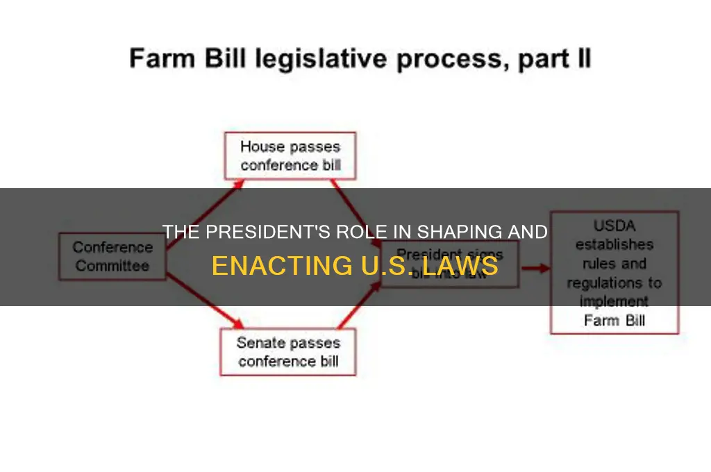 what does the presidnet do in terms of law making