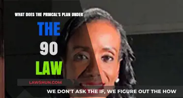 Understanding the Principal's Plan Under the 90 Law: Key Insights