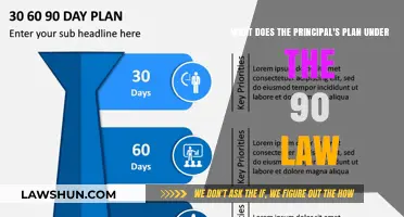 Understanding the Principal's Strategy Under the 90-Day Law