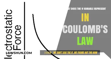 Understanding Coulomb's Law: The Role and Significance of the r Variable