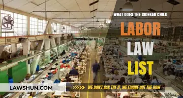 Understanding the Sidebar Child Labor Law List: Key Provisions Explained