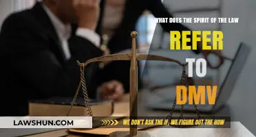 Understanding the Spirit of the Law in DMV Regulations