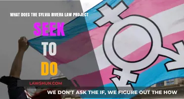 Sylvia Rivera Law Project: Empowering Transgender and Gender-Nonconforming Communities