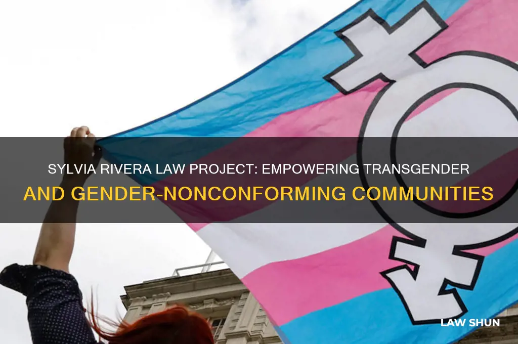 what does the sylvia rivera law project seek to do