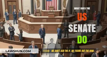 Understanding the Role and Responsibilities of the US Senate
