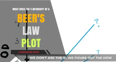 Understanding Beer's Law: Decoding the Significance of the Y-Intercept