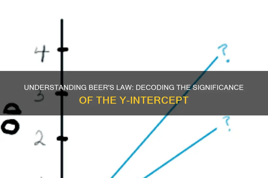 what does the y-intercept of a beer