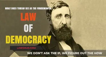 Toreau's Vision: The Fundamental Law of Democracy Explored