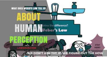 Weber's Law: Unlocking the Secrets of Human Sensory Perception