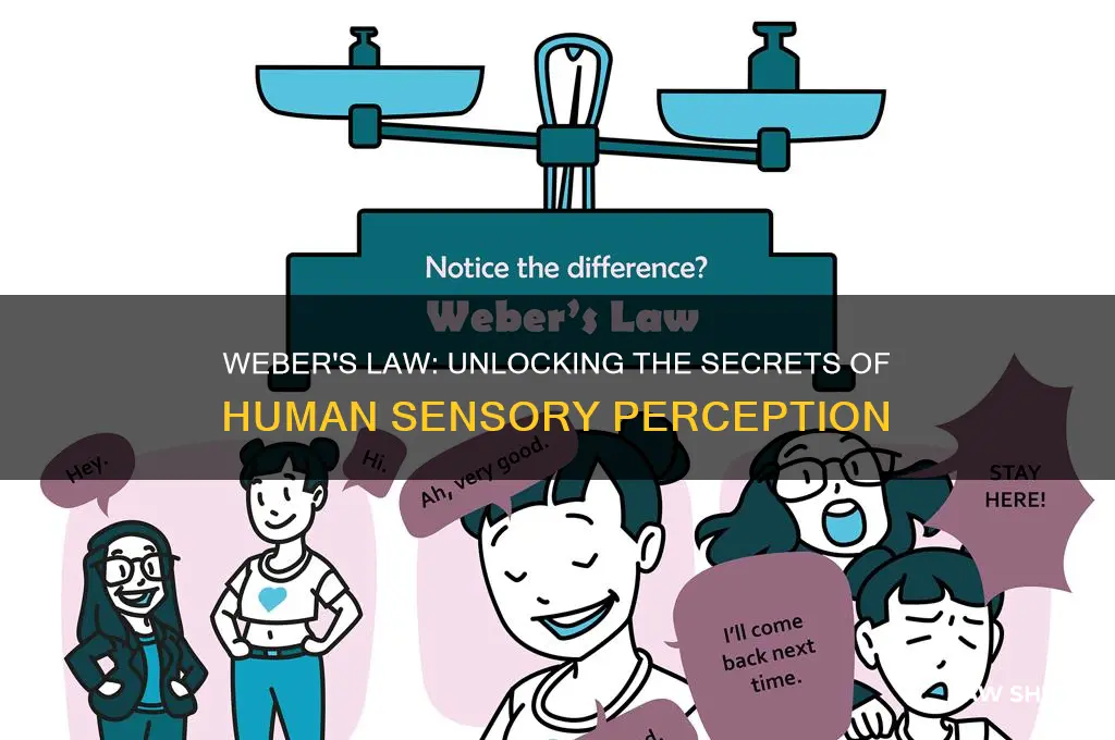 what does weber
