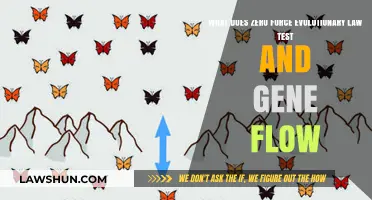 Zero Force Evolutionary Law: Testing Gene Flow's Impact on Species