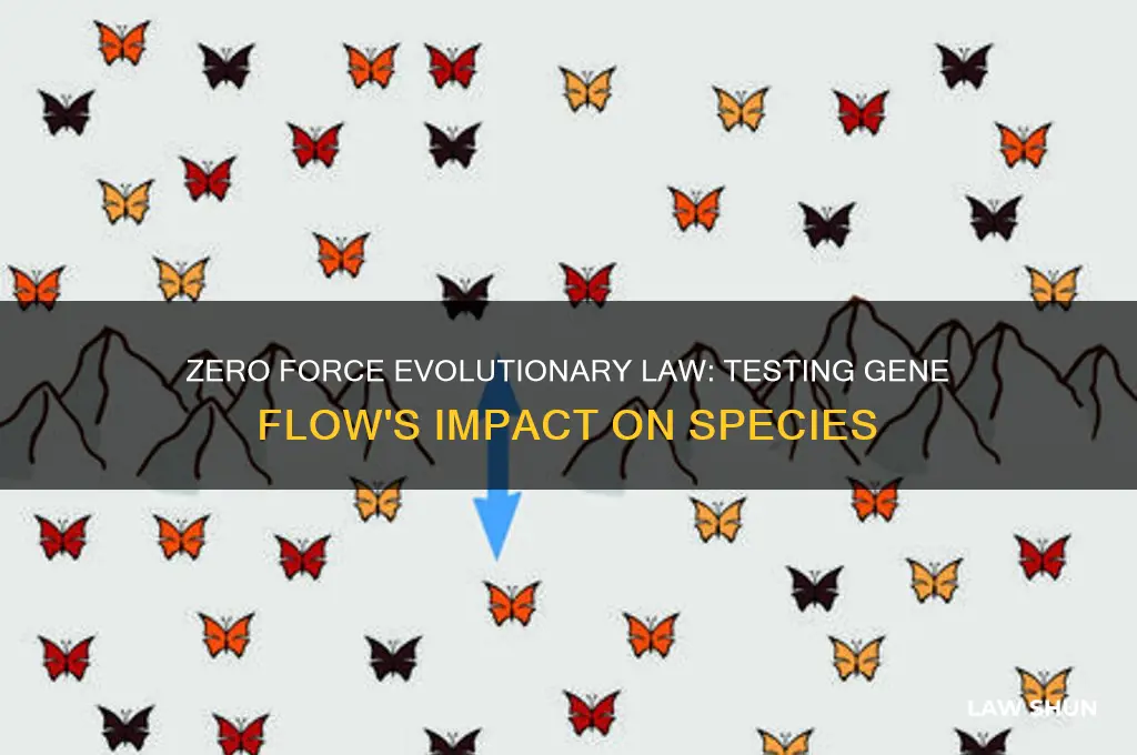 what does zero force evolutionary law test and gene flow