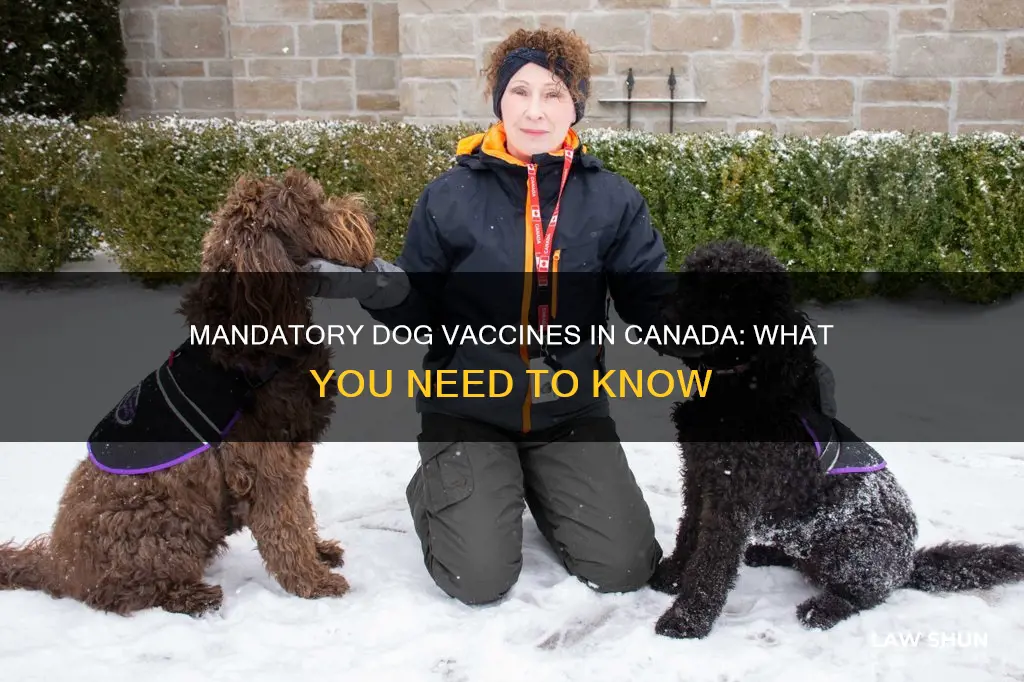 what dog vaccines are required by law in canada