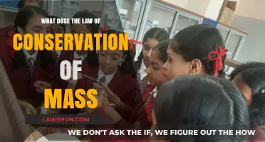 Understanding the Law of Conservation of Mass: Principles and Applications