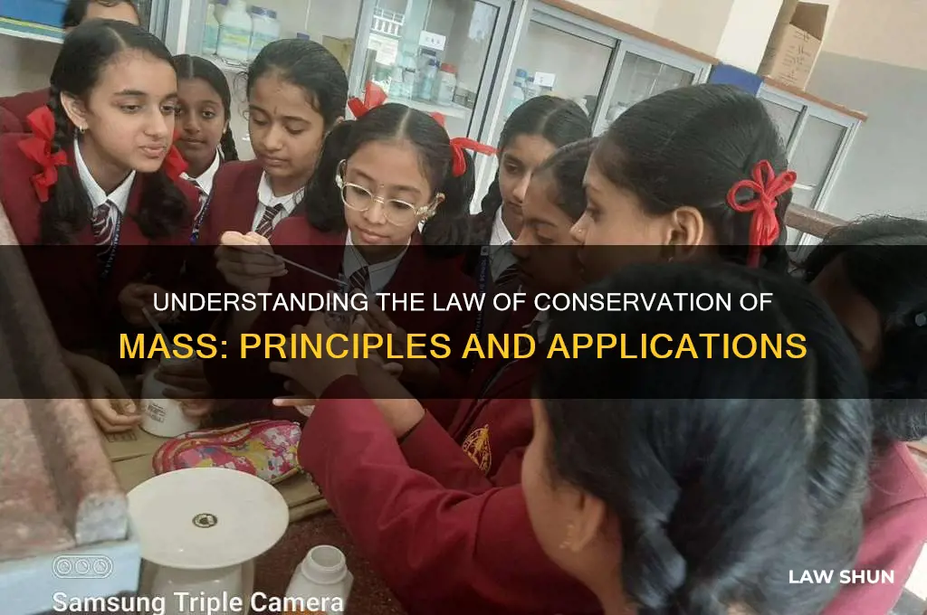 what dose the law of conservation of mass