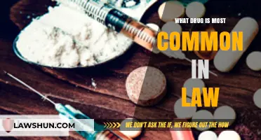 Most Common Drug-Related Law Cases