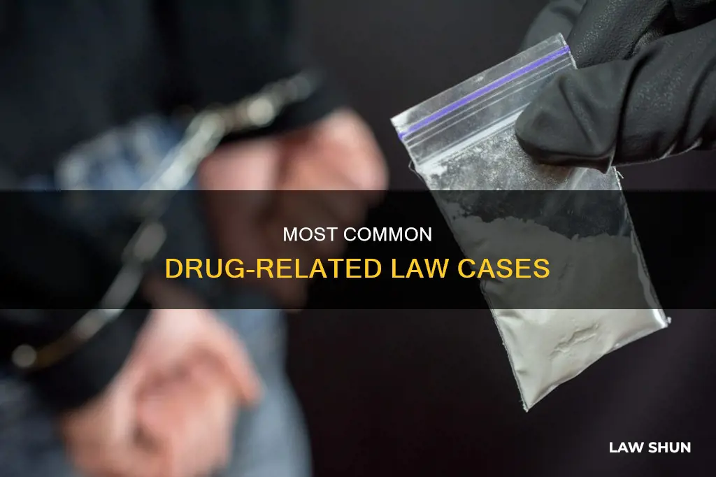 what drug is most common in law