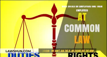 Understanding Employer Duties: Common Law Essentials