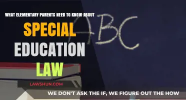 Understanding Special Education Law: Essential Guide for Elementary Parents