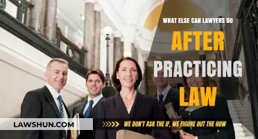 Exploring Career Options: Lawyers Beyond the Courtroom