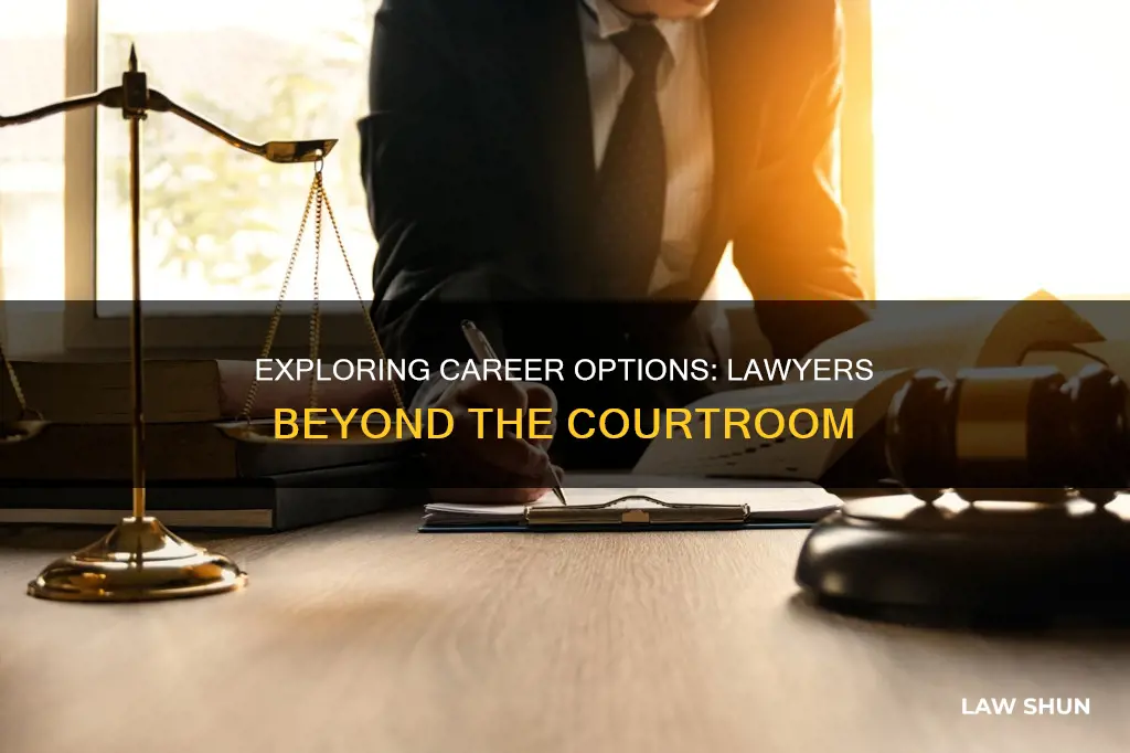 what else can lawyers do after practicing law