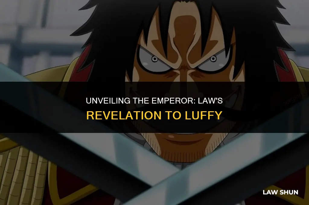 what emperor did law tell luffy
