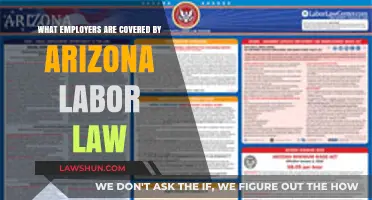 Arizona Labor Law: Which Employers Must Comply with State Regulations?