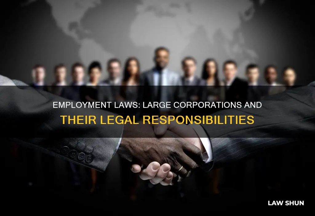 what employment laws apply to large corperations