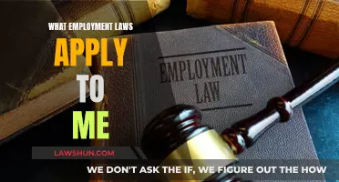 Employment Laws: Understanding Your Rights and Responsibilities