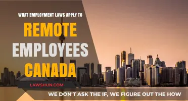 Employment Laws: Remote Work in Canada