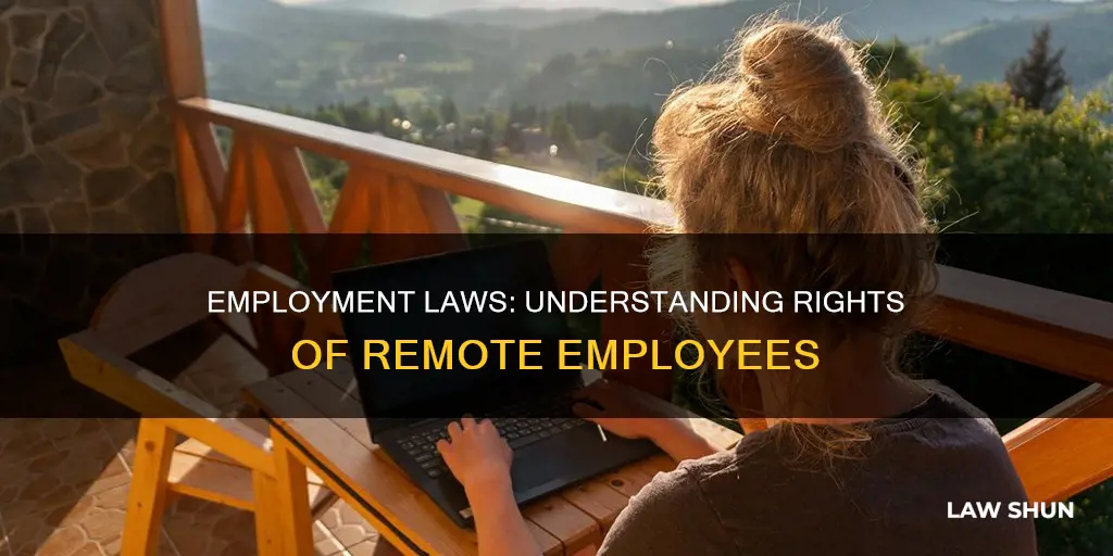 what employment laws apply to remote employees