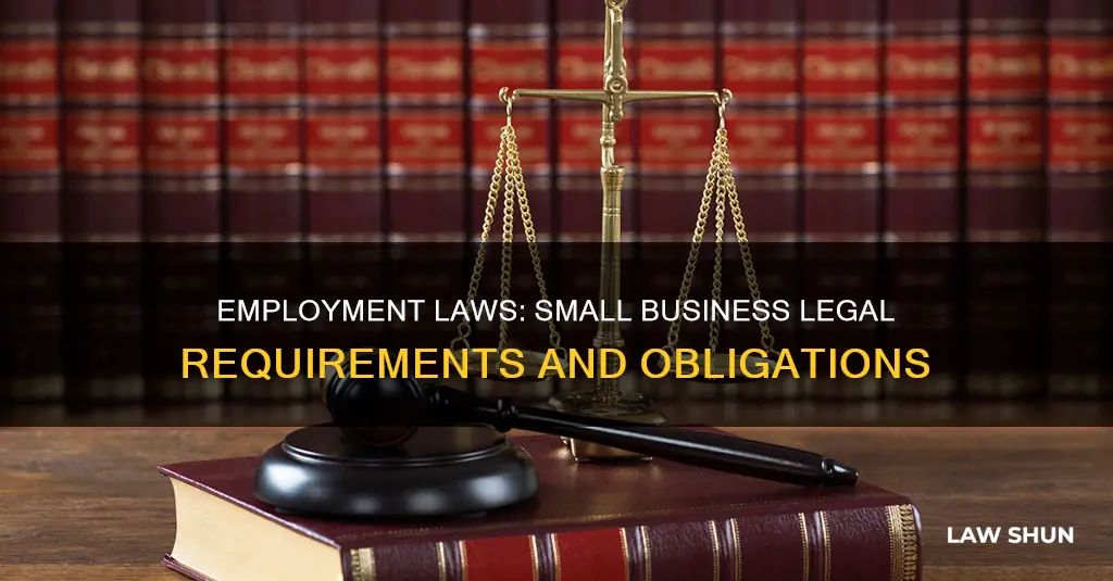 what employment laws apply to small businesses