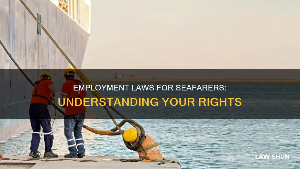 what employment laws apply to workers on ships