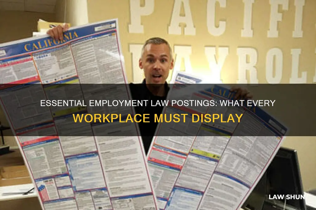 what employment laws must be posted for employees to see