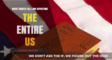 Understanding the US Constitution: The Foundation of All National Laws