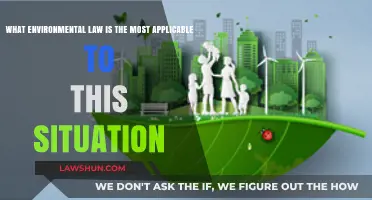 Navigating Environmental Laws: Which One Fits Your Situation Best?