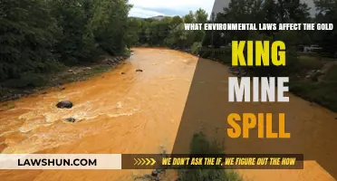Environmental Laws Impacting the Gold King Mine Spill: A Comprehensive Overview