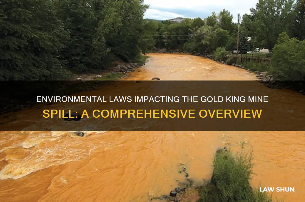 what environmental laws affect the gold king mine spill