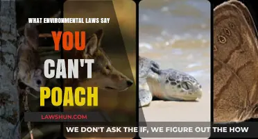 Poaching: Environmental Laws and What They Protect