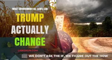 Trump's Environmental Law Changes: What's at Stake?