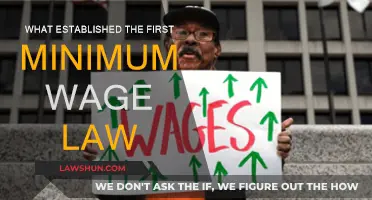 The Evolution of Minimum Wage Laws