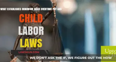 Understanding Labor Laws: Minimum Wage, Overtime, and Child Labor Protections