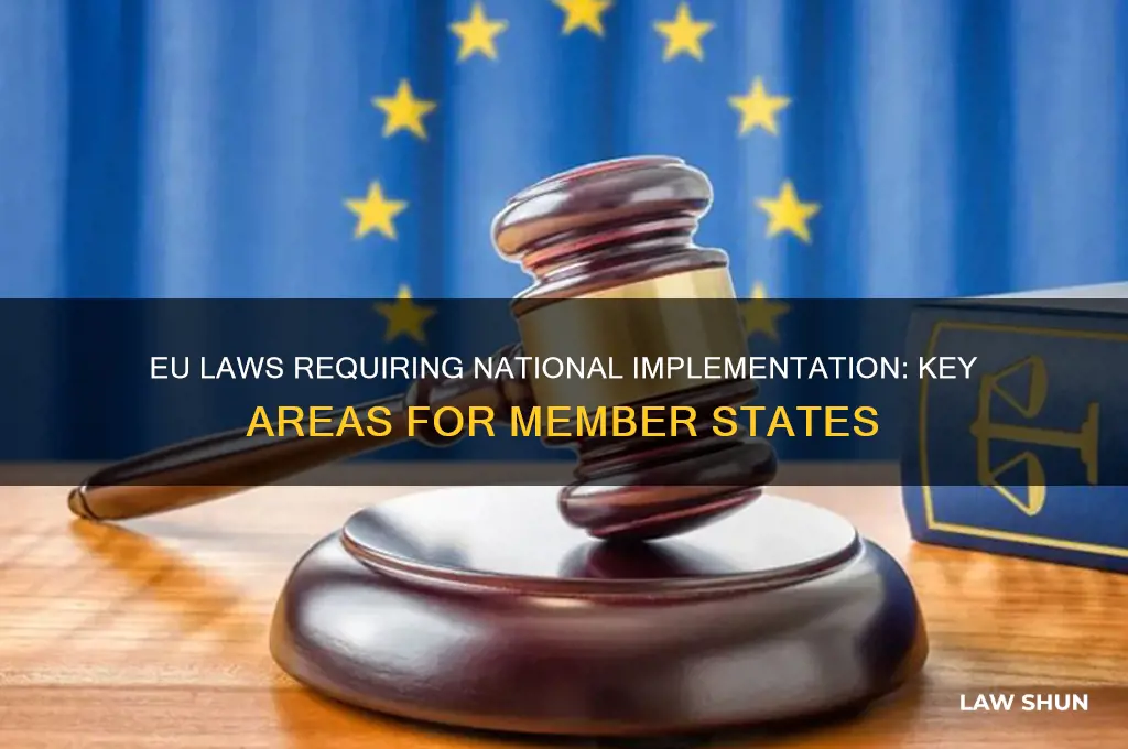 what european laws should be subject to national implementation measures