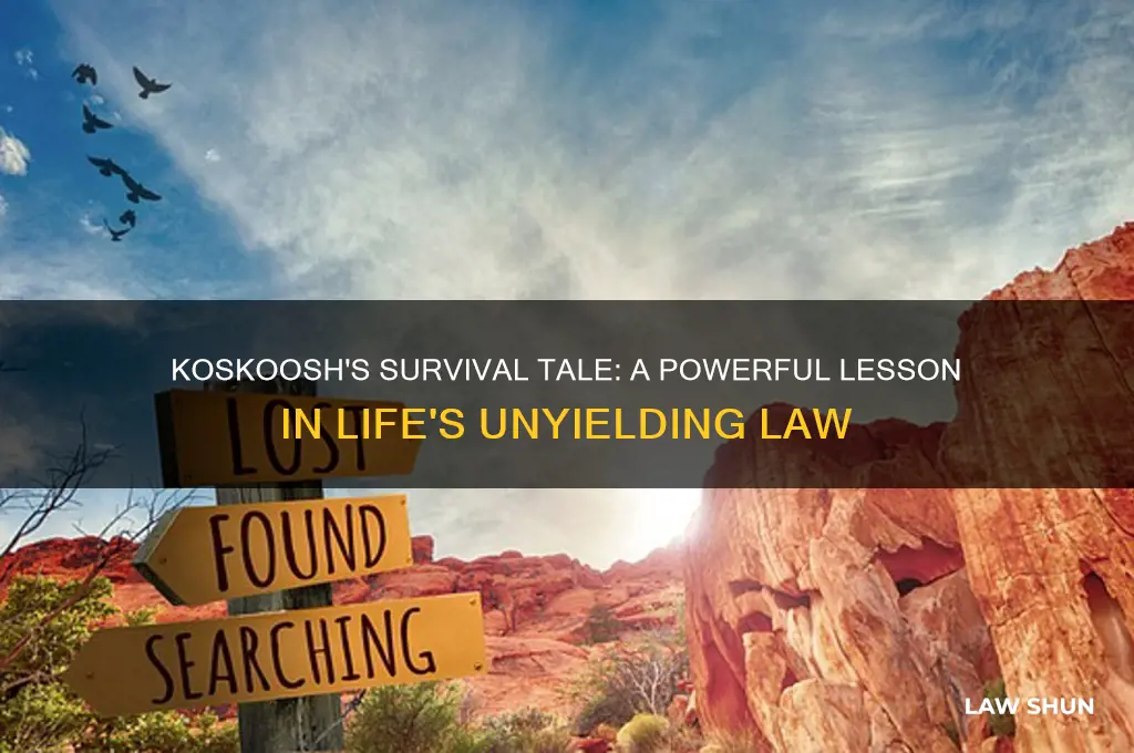 what event from koskoosh memories expresses the law of life