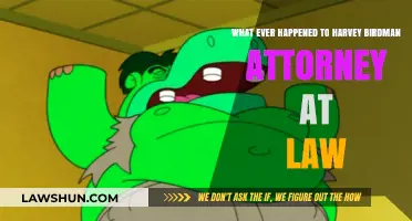 Harvey Birdman: Attorney at Law's Disappearance and Legacy Explored