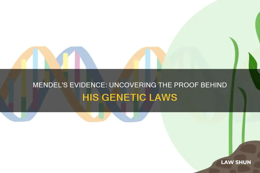 what evidence did mendel find that supported his law