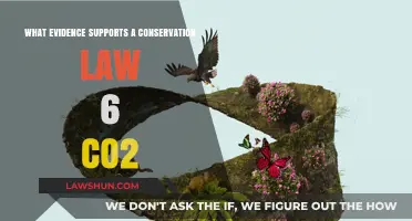 Conservation Law Evidence: CO2's Role in Sustaining Ecological Balance