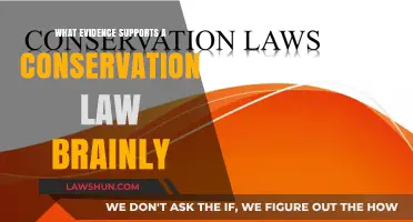 Conservation Laws: Scientific Evidence and Brainly Insights Unveiled